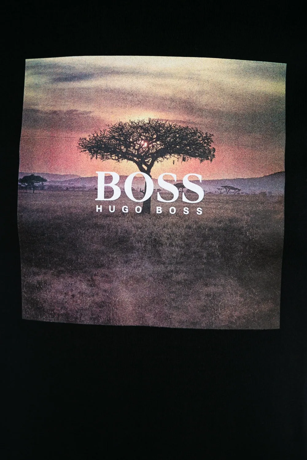 BOSS Troaar 5 T Shirt in Black Safari Sunset